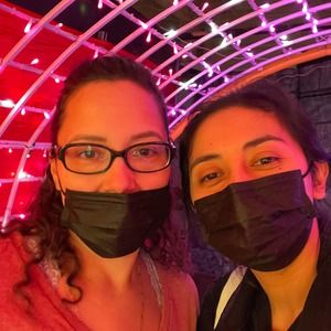 Meet your Posher, Priscilla